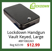 lockdown handgun vault keyed, large