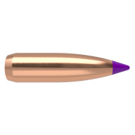 NOSLER 6MM(.243) 80gr Spitzr BULLET BallisticTip 100/b