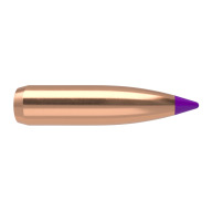 NOSLER 6MM(.243) 90gr Spitzr BULLET BallisticTip 50/bx