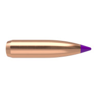 NOSLER 6MM(.243) 95gr Spitzr BULLET BallisticTip 50/bx