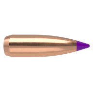 NOSLER 6MM(.243) 70gr Spitzr BULLET BallisticTip 100/b