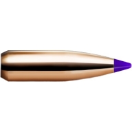 Product Name: NOSLER 6MM(.243) 70gr Spitzr BULLET BallisticTip 250/b