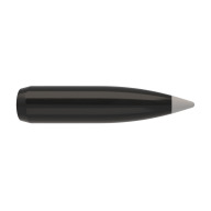 NOSLER 6MM(.243) 95gr Spitzr BULLET BallSilverTip 50/b