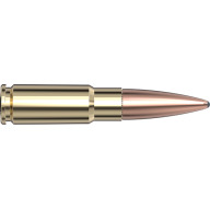Product Name: FRONTIER AMMO 338 ARC 285g FMJ SUBSONIC 20b 10c