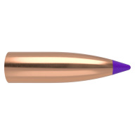 NOSLER 6MM(.243)55gr LD-FREE BallisticTip BULLET 100/b