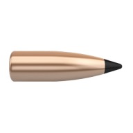 NOSLER 6MM(.243) 70gr TIPPED BULLET VARMAGEDDON 250/bx
