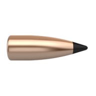 NOSLER 6MM(.243) 55gr TIPPED BULLET VARMAGEDDON 250/bx