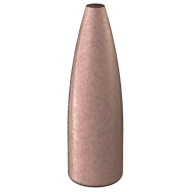 Product Name: SPEER 22 (.224) 55gr TMJ BULLET 100/bx 20/cs