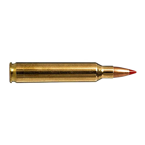 NORMA AMMO 204 RUGER 40gr V-MAX-VARMIT 20/bx 10/cs