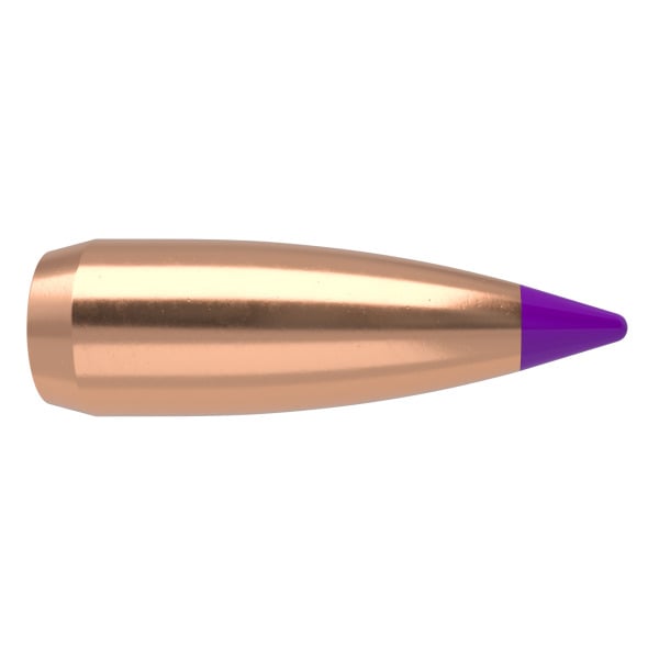 NOSLER 6MM(.243) 55gr Spitzr BULLET BallisticTip 100/b