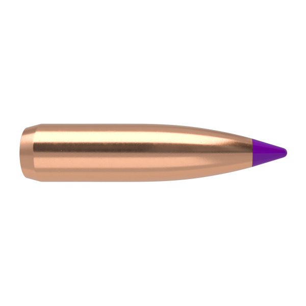 NOSLER 6MM(.243) 90gr Spitzr BULLET BallisticTip 50/bx