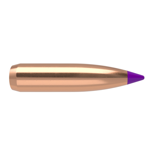 NOSLER 6MM(.243) 95gr Spitzr BULLET BallisticTip 50/bx