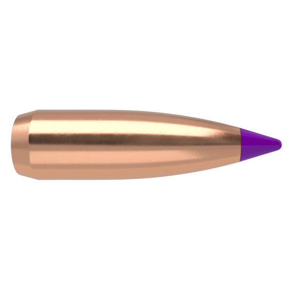 NOSLER 6MM(.243) 70gr Spitzr BULLET BallisticTip 100/b