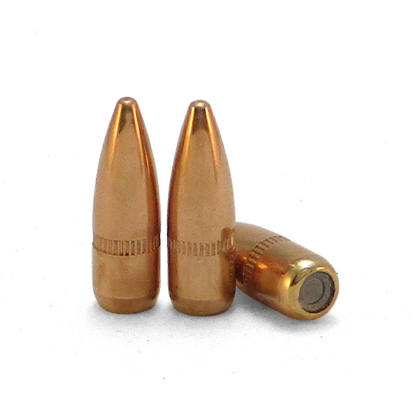 BRISTLE RIDGE PREC 22cal .223 55gr FMJ M193 1000/b