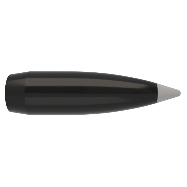 NOSLER 338(.338) 200gr Sptzr BULLET BallSilverTip 50/b