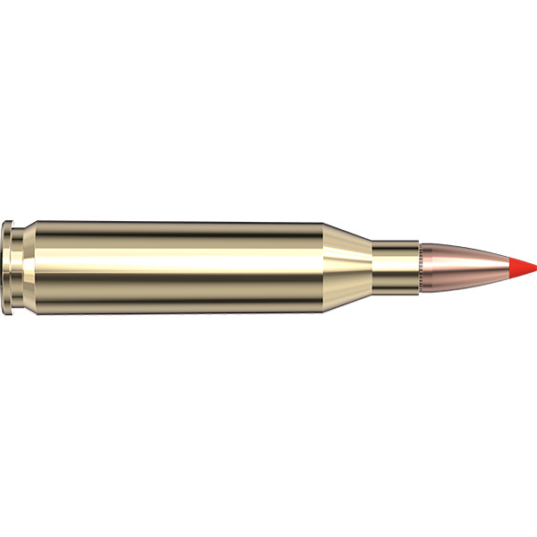 HORNADY AMMO 243 WINCHESTER 95gr SST AWT 20/BX 10/CS