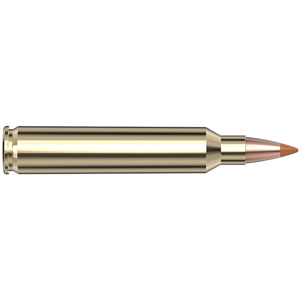HORNADY AMMO 204 RUGER 24gr NTX 20/BX 10/CS