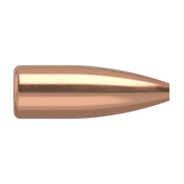 NOSLER 17(.172) 20gr FBHP BULLET VARMAGEDDON 100/bx