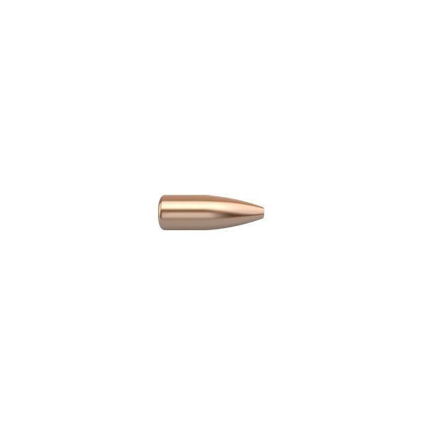 NOSLER 17(.172) 20gr FBHP BULLET VARMAGEDDON 250/bx
