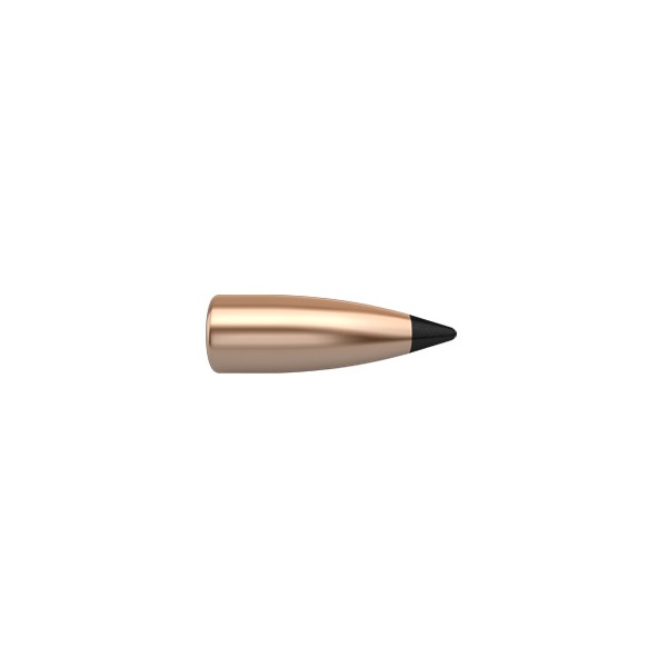 NOSLER 6MM(.243) 55gr TIPPED BULLET VARMAGEDDON 250/bx