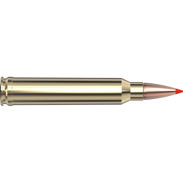 HORNADY AMMO 300 WINCHESTER MAG 165g SST AWT 20/BX 10/CS