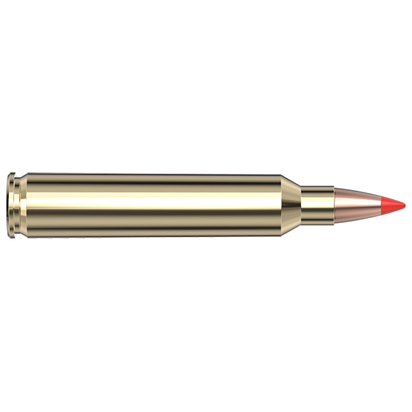 HORNADY AMMO 204 RUGER 40gr V-MAX 20/BX 10/CS