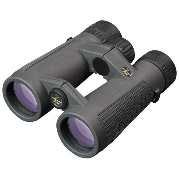 LEUPOLD BX-5 SANTIAM HD 10X50MM GRAY BINOC