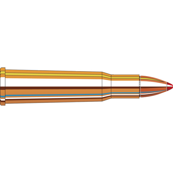 HORNADY AMMO 348 WINCHESTER 200gr FTX 20/BX 10/CS