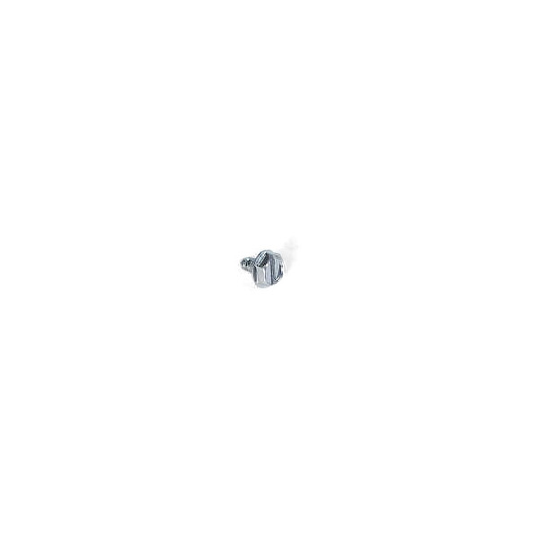 LEE SPARE SCREW #6 X 1/4 HEX **FL1077**