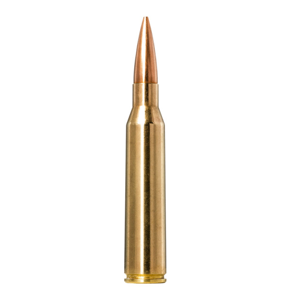 NORMA AMMO 338 LAPUA MAG 250g GT HPBT 20/bx 10/cs