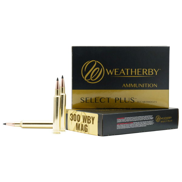 WEATHERBY AMMO 300 WEATHERBY MAG 170g HAMMER CUSTOM 20/bx 10/cs