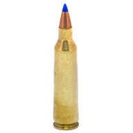 FIOCCHI AMMO 22-250 REMINGTON 40gr V MAX 20/bx 10/cs