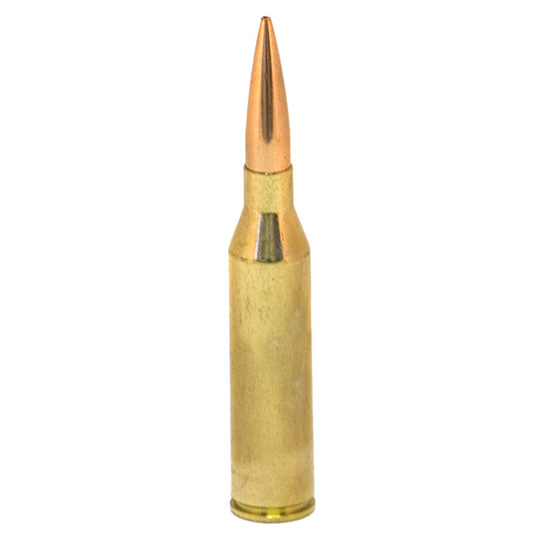 NORMA AMMO 300 NORMA MAG 230gr HPBT 20/bx 10/cs