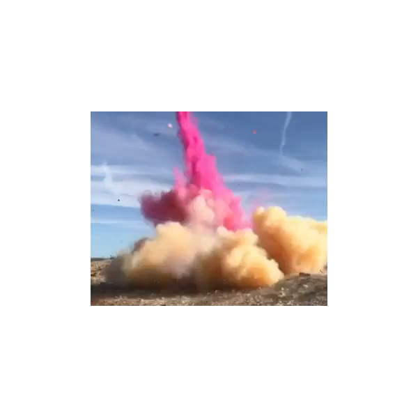 Sonic Boom Exploding Rifle Target Gender Reveal Kit Girl